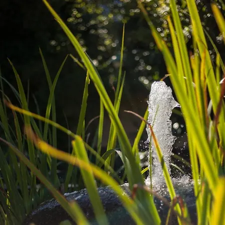 Moderne 2 Zi.-fewo Blackforest Art Nähe Freiburg Apartment Simonswald