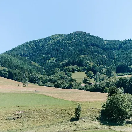 Moderne 2 Zi.-fewo Blackforest Art Nähe Freiburg Apartment Simonswald